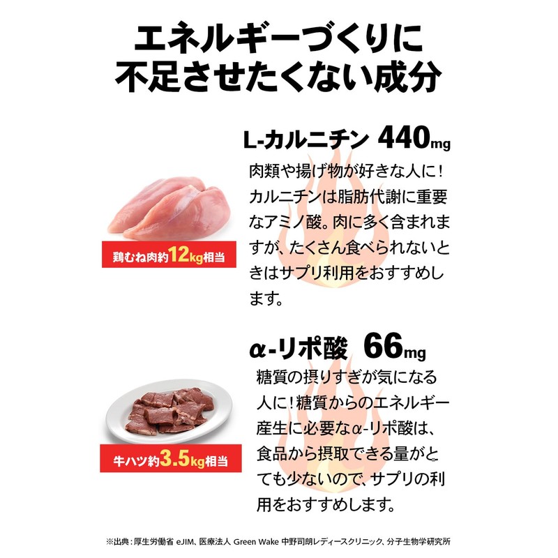 ビーレジェンド ファイヤー 2.0 FIRE 2.0 7種のサポート成分 L-カルニチン α-リポ酸 ビタミンB群 カテキン