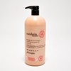 philosophy special delivery holiday shower gel 32oz:_mandarinreverie