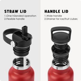 Mollcity 12 oz Stainless Steel Vacuum Insulated Small Water Bottle with Straw Lid-Reusable Metal Water Bottle BPA Free (Canyon Red)