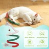 Cat Catnip Toys Set with 1 Caterpillar Cat Toy, 2