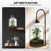 Glass Plant Terrarium, LED Grow Light, Adjustable Ventilation
