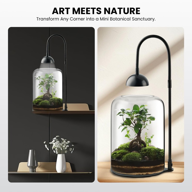 Glass Plant Terrarium, LED Grow Light, Adjustable Ventilation