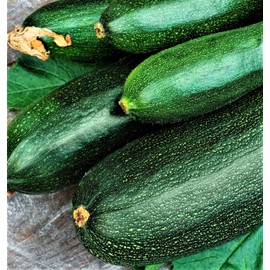 SEEDS Dark Green Zucchini Seeds 30 SEEDS NON-GMO --BUY 4 ITEMS FREE SHIPPING