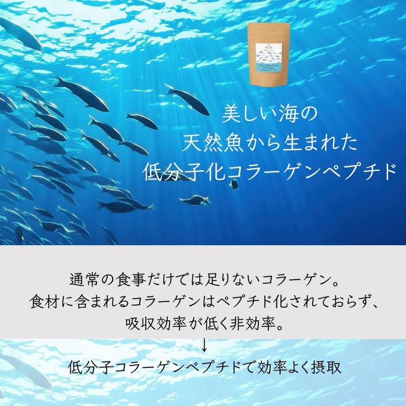 マリンコラーゲンパウダー93000mg 約20日分 粉末 サプリメント 低分子コラーゲンペプチド