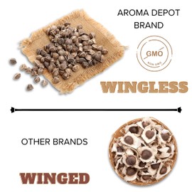 Moringa Seeds 3 lbs. (Approx. 4900-6000) WINGLESS Sun-Dried, PKM1, 100% Natural, Superfood, Nutritional, Rich in Vitamins Edible Seeds, Malunggay, Semillas De Moringa oleifera Seeds- Drumstick.