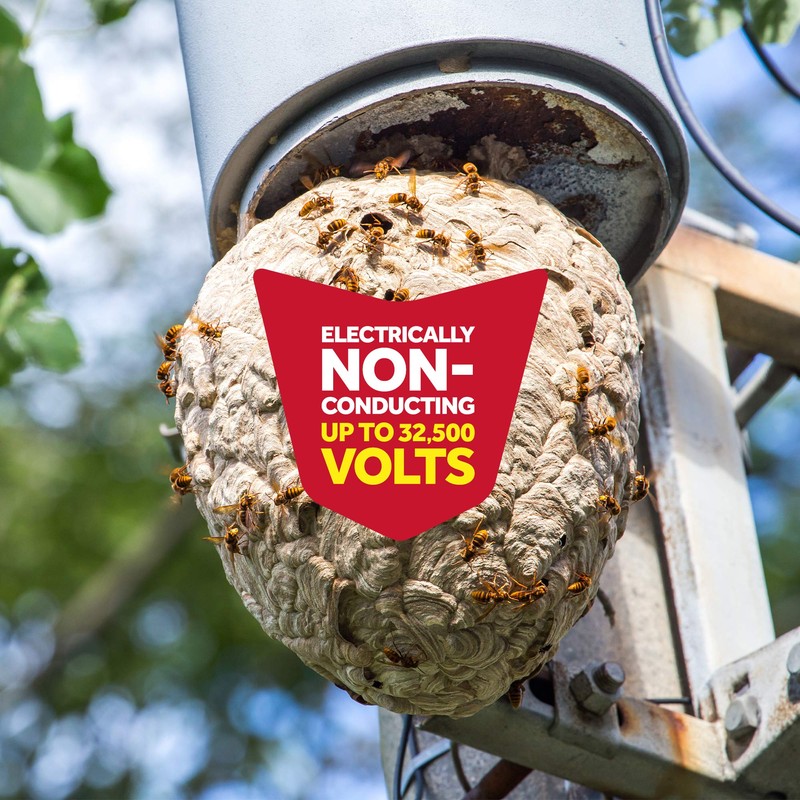 Raid Wasp and Hornet Killer Spray, Kills the entire nest,