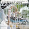 Bird Swing Perch Toy Wooden Parrot Swing Perch Colorful Bird
