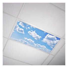 Fluorescent Light Cover for Classroom Ceiling Lights Clouds - Premium Backlit Film Insert 2x4 (22.38"x46.5") Florescent Fixture (Pack of 1) School, Office, Sensory, Improve Focus, Eliminate Headaches