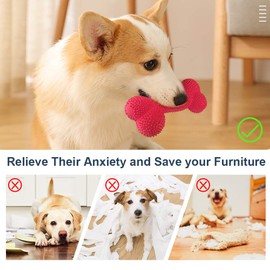 Petper Cw-0095EU Squeaky Latex Dog Toy, Interactive Toy Bone for Dogs with Thorns for Playing and Training