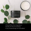 River Birch Premium, All-Natural, Non-Toxic Soy Candles | Mimosa Scented