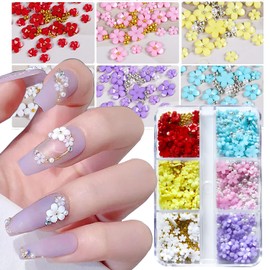 3D Flower Nail Charms and Metal Caviar Beads,Nail Art 3D Acrylic Flowers Nail Charms Nail Design Supplies Decoration Accessories DIY Nail Decoration in 6 Compartment Box