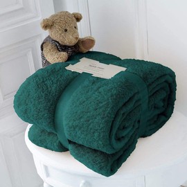 RayyanLinen Teddy Fleece Throw Blanket Warm Soft Luxury Cuddly Sofa Bedspread Travel Throw (Emerald Green, Double - 150 X 200cm)