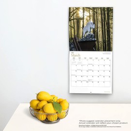 British Columbia | 2023 12 x 24 Inch Monthly Square Wall Calendar | Wyman Publishing | Canadian Regional Travel