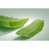 ALOVERIA® ACTIF HYDRATANT CREAM – with 30% pure Aloe Vera and Urea