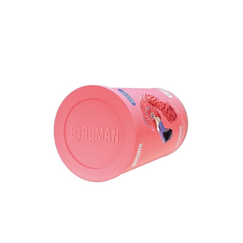 Suplemento alimenticio Birdman Fitmingo proteína vegetal sabor blueberry 510 g