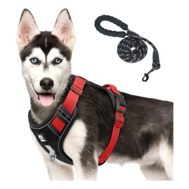 Arnés Pechera YUANNA para Perro Grande L, Reflectante y Ajustable con Correa