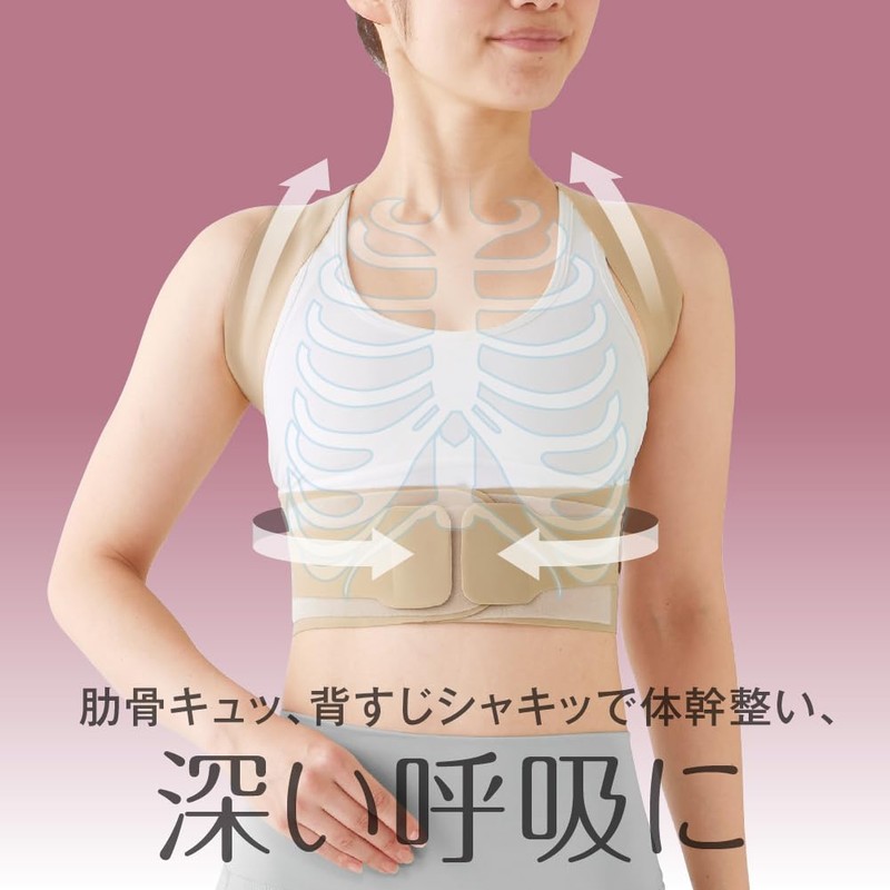 Alphax Doctor Core Posture Supporter, Pita Skin, Beige, L-LL, Posture