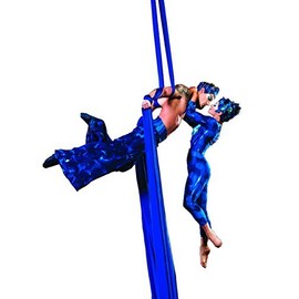 Aerial Silks Starter Kit - Durable 11Yards of Aerial Yoga Hammock with Hardware, Aerial Swing for Acrobatic Flying Yoga & All Levels (Aerial Rigging Point Up to 14ft)