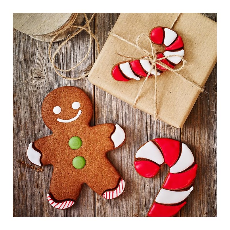 Birkmann 1010699910 Cutter Gingerman 7.5 cm, Grey Plastic, 5 x