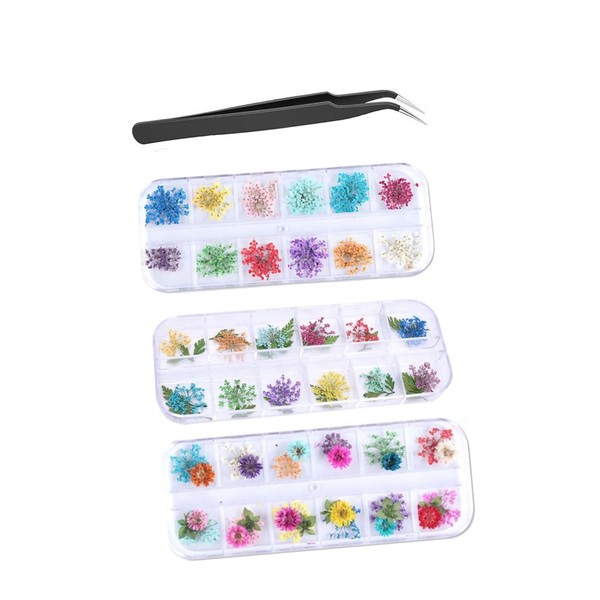 YFFSFDC Nail Art Parts, Dried Flowers, Nail Pressed Flowers, 36 Types, Set of 3, Dried Flowers, Lace, 3D, For Nail Decoration, DIY Nail Parts, Pressed Flowers, Transparent Storage Case, Tweezers Included
