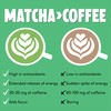 Perfect Ted Matcha Powder | 100g | Ceremonial Grade |