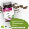 GSE Jod Compact Tabletten, 100% hochdosiertes Jod aus Pflanzen, ohne