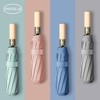 Pastel Umbrella PASTELLA Solid Wood 3-Fold Automatic 10K PS8 (WFJHS4H) / 파스텔우산 PASTELLA 원목 3단 자동 10K PS8 (WFJHS4H)