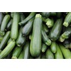 CEMEHA SEEDS - Seeds Green Zucchini Courgette Squash Tsukesha Non