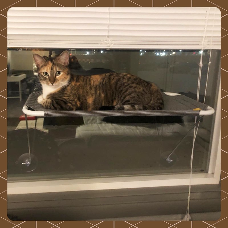 All Around 360° Sunbath and Lower Support Safety Iron Cat