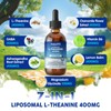 HOLLEGEND HOLLEGEND Liposomal L Theanine 400mg Liquid Drops, Organic L-theanine