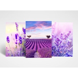 DV DESIGN 3 x A4 Lavender Posters - Purple Floral Nature Flowers Field Trio of Prints Portrait Poster Gift