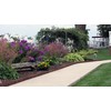 Flexible Brown Natural Lawn & Landscape Border Edging (8-Pack)
