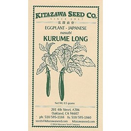 Japanese Eggplant - Kurume Long - 0.5 Grams