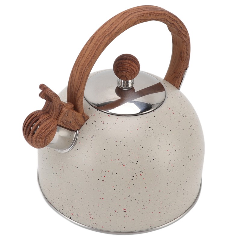 Whistling Kettle 2.5L Capacity Stainless Steel Stovetop Teapot for Water
