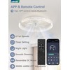 LEDIARY Flush Mount Ceiling Fan with Lights and Remote, 19.7''