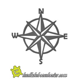 Turtle Laboratories Decorative Compass Metal Wall Sculpture Art Hanging Home Decor