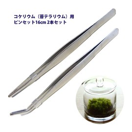 AVILMORE Moss Cultivation Lium Moss Succulent Plants for Terrariums, Precision Tweezers, 6.3 inches (16 cm), Set of 2 Types (Straight and Curved), Anti-Slip Type, Coquerium Moss Ball, Moss Terrarium, Herbarium
