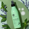 Tea Tree & Mint Leave-in Conditioner