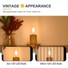 12V Low Voltage Mini LED Candelabra Light Bulbs - Soft