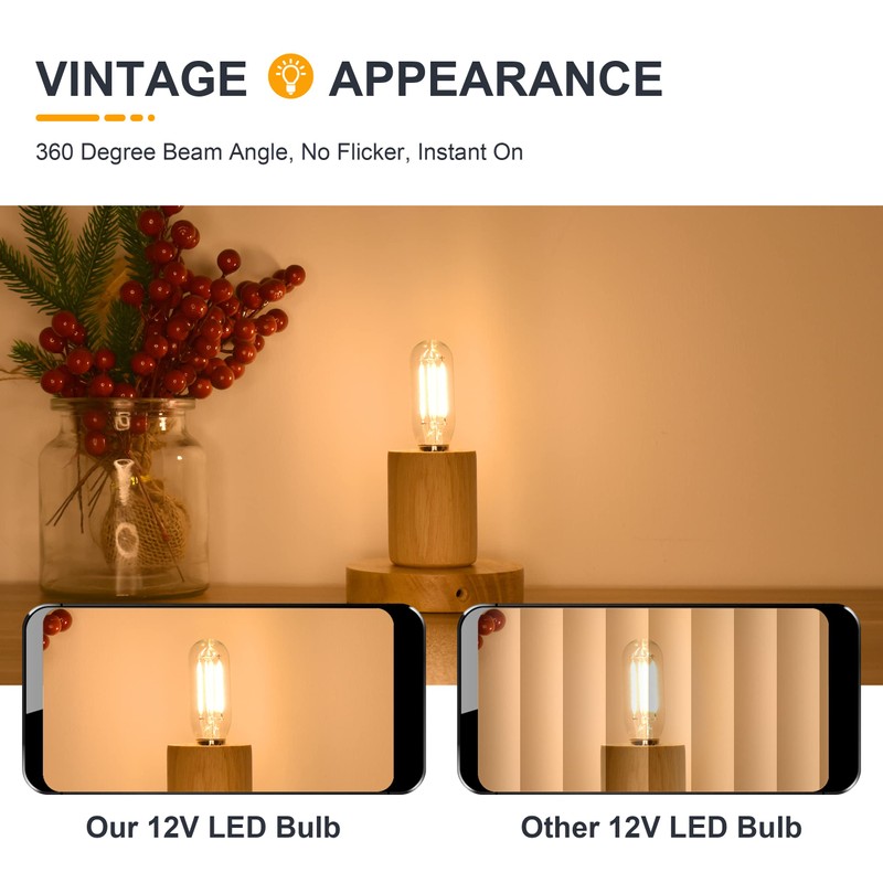 12V Low Voltage Mini LED Candelabra Light Bulbs - Soft