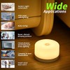 FC-Fancier Dimmable Light,Touch Sensor Bedside Lamp, Kids Children Adult Nightlight,Bedroom