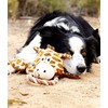 Charming Pet Scrunch Bunch Bunny Interactive Plush Squeaky Dog Tug