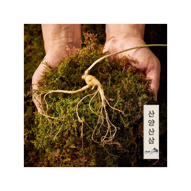 (Hyundai Hmall) Myunggailpum Gangwon-do Native Mountain Ginseng Gift Set 5-6