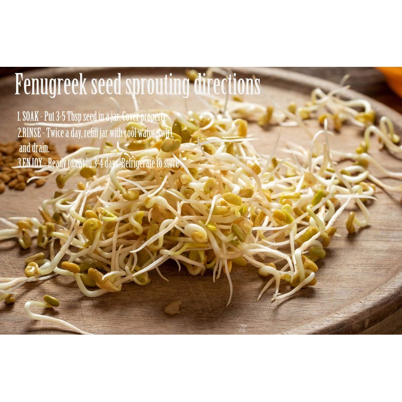 Fenugreek Seeds Whole - (8Oz)