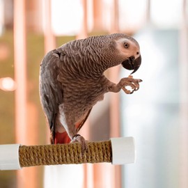 Window Perch for Birds | Parakeet Training Stand | Suction Cup Portable Perch Cage Accessories for Bird Macaw Parakeet for Window Car Bath Training Uses