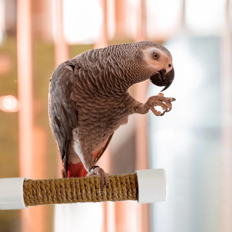 Window Perch for Birds | Parakeet Training Stand | Suction