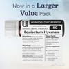 Equisetum Hyemale 6C Homeopathic Remedy, 270 Pellets