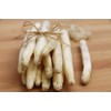 NIKA SEEDS - Seeds Vegetable Asparagus White - 30 Seeds