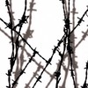 MyDipKit Shadow Barb Wire - Hydrographics Film Kit LL-209 -
