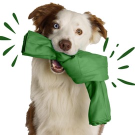 SnuffleKnot (Green) - Snuffle Toy, Dog Enrichment, Dog Toy Interactive, Dog Puzzle, Sniffing Mat, Dog Toy, Dog Birthday Gift, Interactive Dog Toy